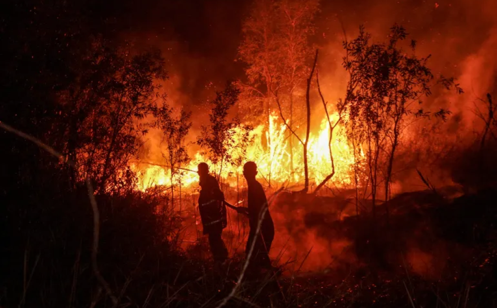 Prabowo Salurkan Bantuan Rp240 Miliar untuk Penanganan Karhutla di Kalbar